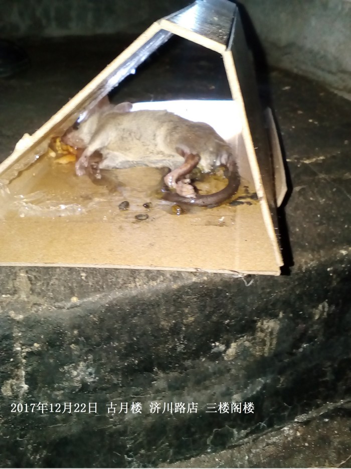 济川路店三楼阁楼上
