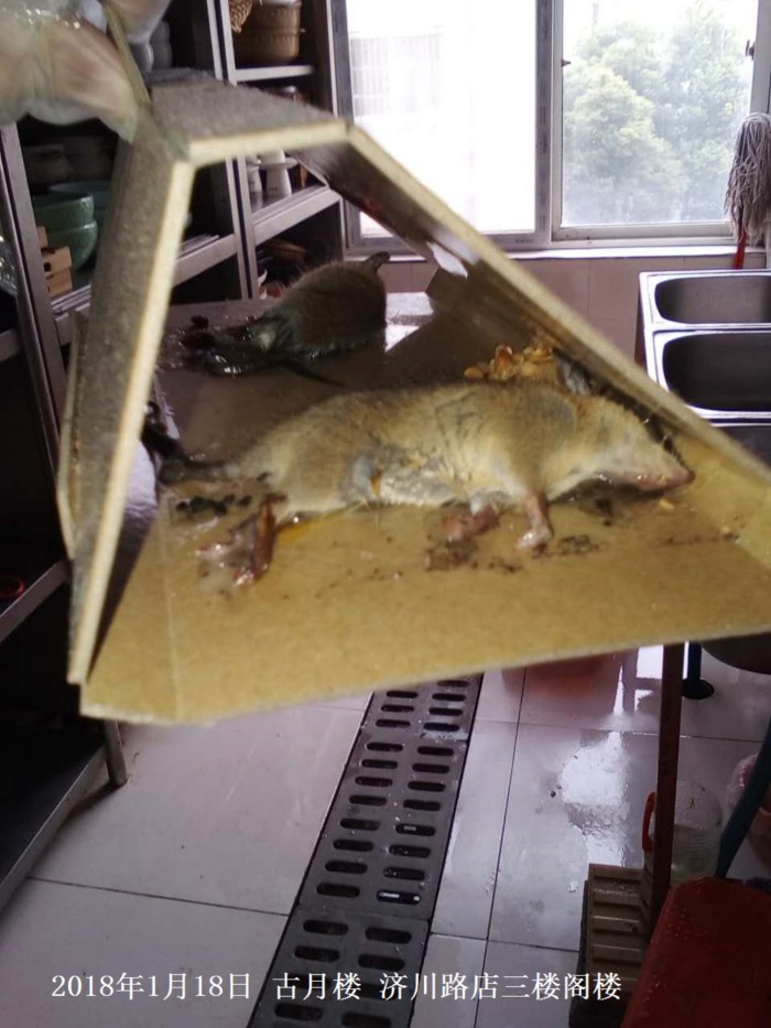 济川路三楼阁楼