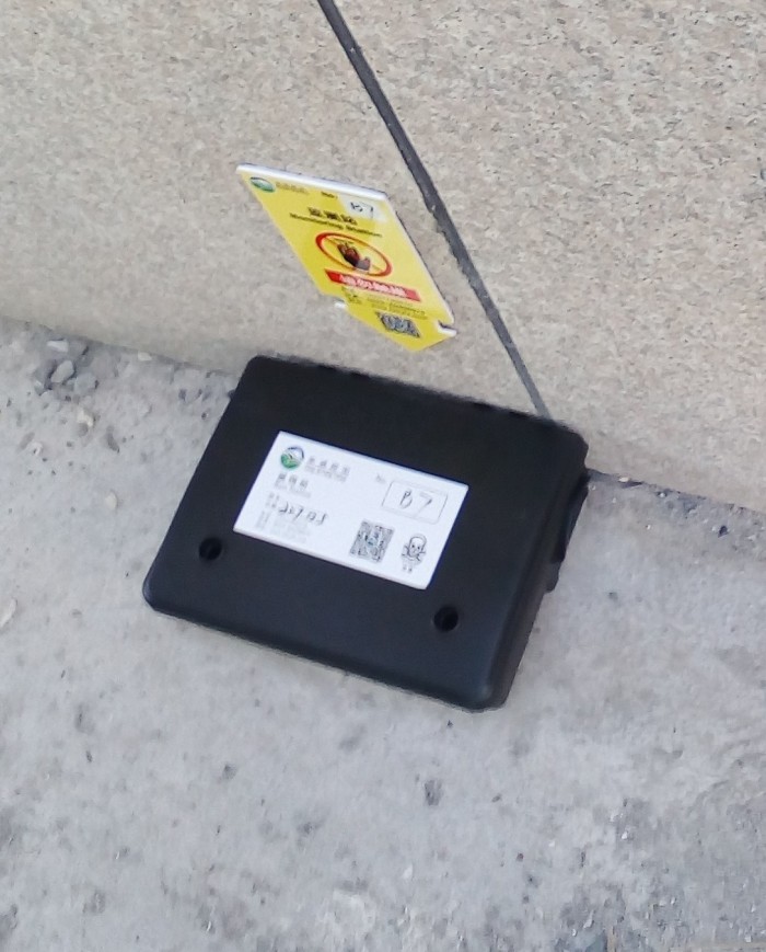 20171205金汇宾馆宴会中心东墙鼠饵站B7